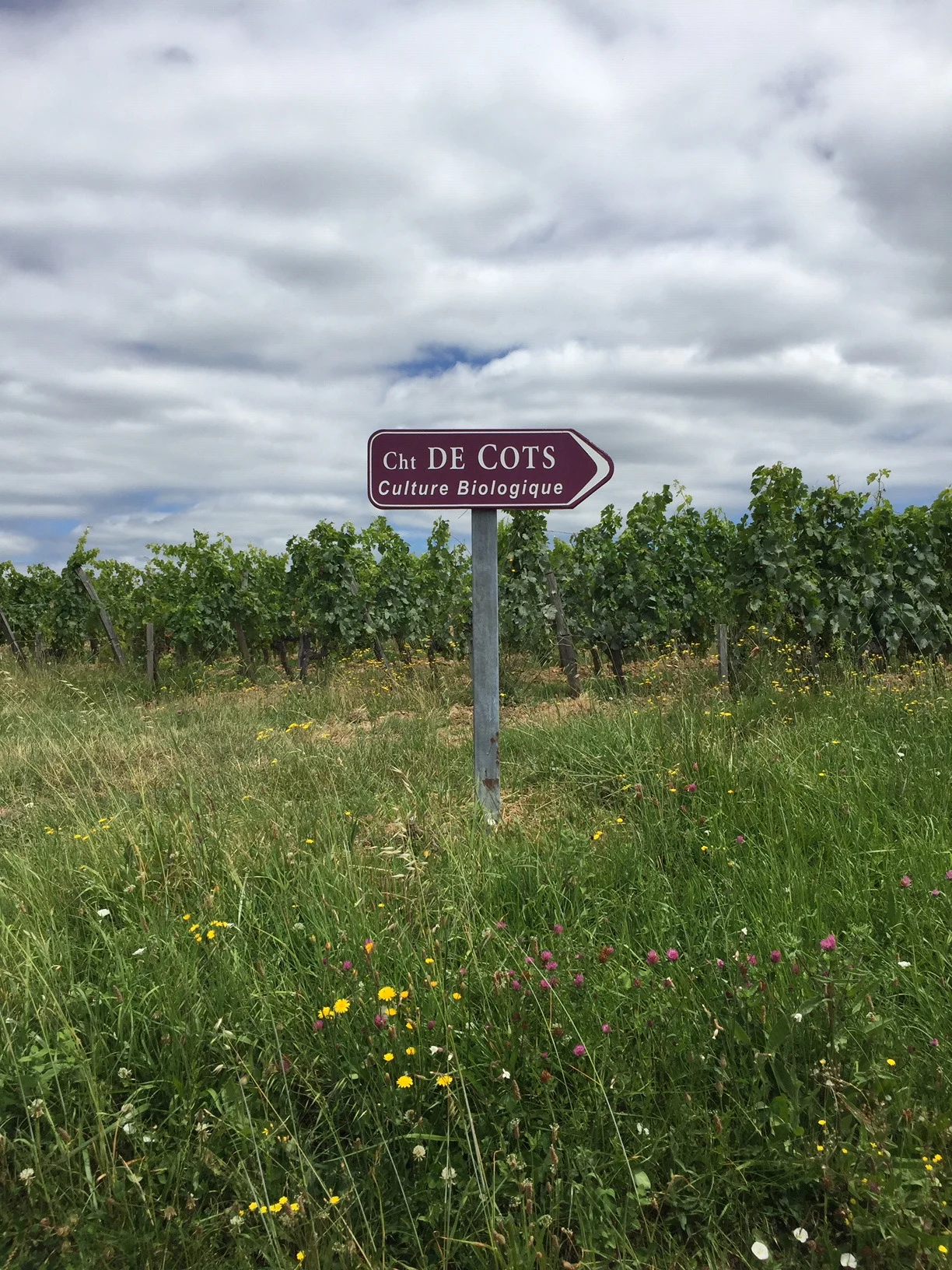 Vignes Culture Biologique et Biodynamique Château de Côts